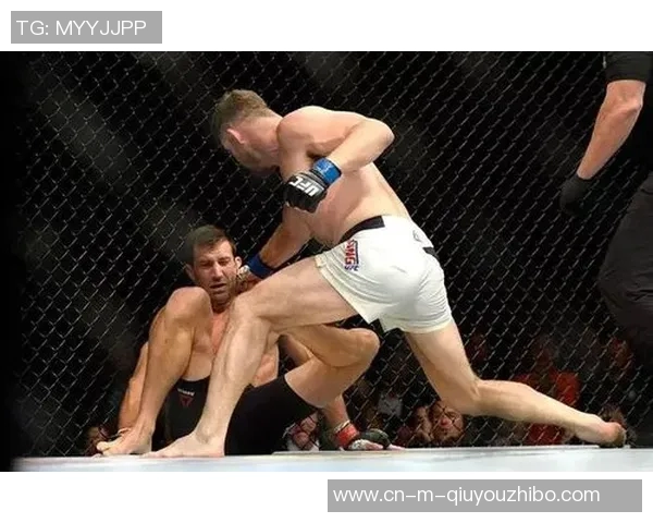 康李与比斯平的巅峰对决谁能在拳坛称王争霸赛中胜出